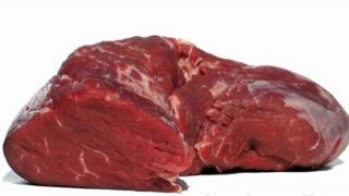 Как правильно выбрать свежее и отличить зараженное мясо (выбираем по советам специалистов)?